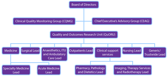 Quality and Outcomes Research Unit (QuORU) structure