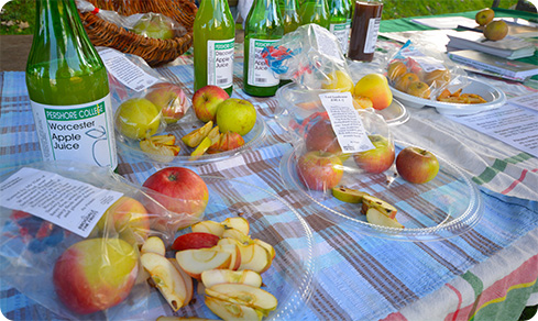 Image: Selection of Apples and juices on a tablet at Apple Day 2017