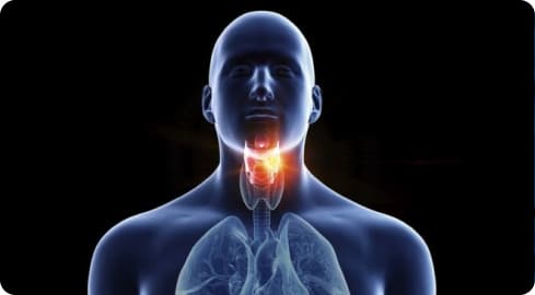 CGI human with highlighted throat