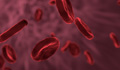 Image of cells