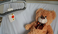 Image: teddy bear on a hospital bed